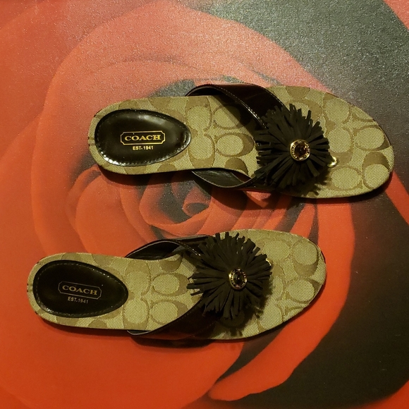 Coach Suki Sandals - Picture 1 of 7